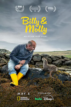 ดูสารคดีออนไลน์ Billy & Molly: An Otter Love Story (2024) HD