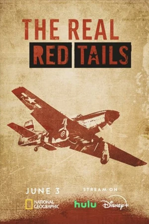 ดูสารคดีอออนไลน์ The Real Red Tails (2024) บรรยายไทย