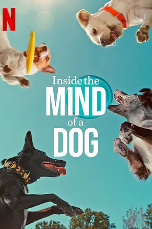 ดูหนังสารคดี Inside the Mind of a Dog (2024)Netflix HD เต็มเรื่อง